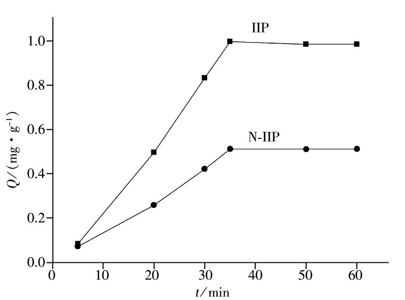 锌离子印迹聚合物的合成及其吸附性能研