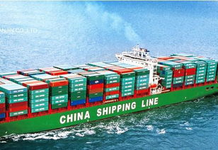 义乌风驰国际货运代理有限公司海运货代